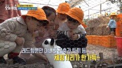 공학 박사의 귀농 생존기, MBC 251216 방송