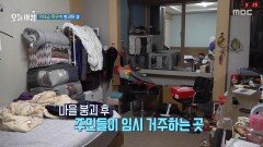 역대급 폭우에 붕괴된 삶, 이재민들의 바람은?, MBC 251230 방송