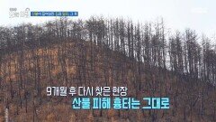 산불이 집어삼킨 집과 일터, 그 후, MBC 251230 방송