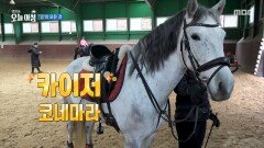 '말'의 모든 것, MBC 251231 방송