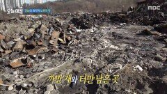 [생방송 오늘 아침] 강남의 마지막 노른자 땅, MBC 260210 방송