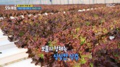 [생방송 오늘 아침] 귀농 6년 차, 부수입도 \