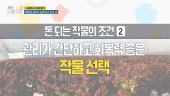 [생방송 오늘 아침] 폭망은 없다! 실패에서 찾은 길, MBC 260223 방송