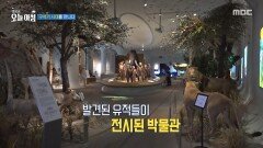[생방송 오늘 아침] 구석기 시대를 만나다, MBC 260309 방송