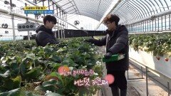 [생방송 오늘 아침] 01년생이 농장주 된 사연, MBC 260312 방송