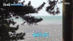 [생방송 오늘 아침] 바람과 바다가 만든 풍경, MBC 260330 방송