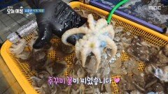 [생방송 오늘 아침] 계절을 먹는다! '제철 코어', MBC 260331 방송