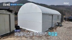 [생방송 오늘 아침] 비닐하우스로 위장한 남편의 공방, MBC 260331 방송
