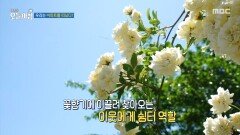 [생방송 오늘 아침] 누구에게나 열려있는 대문이 없는 집, MBC 260511 방송