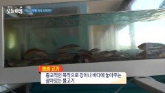 [생방송 오늘 아침] 기도터가 된 국가 사적지?, MBC 260702 방송