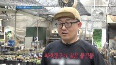 [생방송 오늘 아침] 고가의 식물만 쏙쏙, 여성의 정체는?, MBC 260702 방송