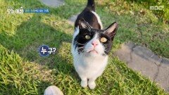 [생방송 오늘 아침] 열린 정원에서 사는 가족, MBC 260702 방송