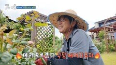 [생방송 오늘 아침] 퇴사하고 꽃만 심는 남편, MBC 260702 방송