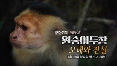 [예고] 원숭이두창, 오해와 진실 - PD수첩, MBC 220628 방송