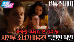 ‘작별을 고하라’ 생의 마지막 순간, 앵무새가 찾아온다! | 튜즈데이, MBC 251228 방송