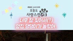 '실제 상황' 너무나 잘 짖어서(?) 깜짝 놀란 옆집 댕댕이 | 오늘도 사랑스럽개 | MBC 240110 방송