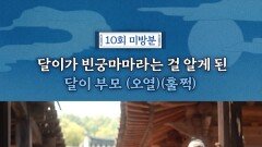 달이 부모의 오열, MBC 251206 방송