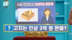 두바이 대통령도 먹는 인삼의 정체, MBC 251103 방송