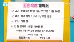황혼 육아 시작 전 계약서 필수!, MBC 251201 방송