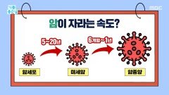 암세포가 복리로 커졌다?, MBC 251202 방송