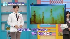 혈관 최전선 모세혈관 지켜라, MBC 260102 방송