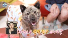 [선공개] 동거부터 시작한 박나래복돌이 서로의 속도를 맞춰가는 중, MBC 251121 방송