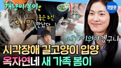 [엠뚜루마뚜루] 생일날 운명처럼 찾아온 봄이 새로운 반려묘와 함께 살게 된 냥집사 옥자연ㅣ#옥자연 MBC260213방송