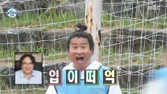 옥자연🆚최민호🆚박지현 치열한 3파전 믿기지 않는 속도, MBC 251024 방송 옥자연🆚최민호🆚박지현 치열한 3파전 믿기지 않는 속도, MBC 251024 방송