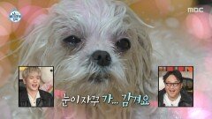 목욕하다 조는 꽃분이 능숙하게 목욕시키는 구성환, MBC 251128 방송