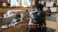 [나 혼자 산다] 고양이들에게 인기 폭발하는 코드 쿤스트 고양이들 설득하는 이동휘, MBC 260227 방송