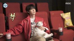 [나 혼자 산다] 반려묘 안주와 가족사진을 찍으러 온 안재현 그러나 속절없이 흐르는 제한 시간, MBC 260501 방송