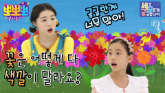 세모궁-꽃은 어떻게 다 색깔이 달라요?, MBC 220510 방송