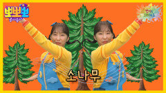 뽀미랑 노래해요 - 소나무, MBC 251222 방송