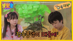 [뽀뽀뽀 좋아좋아] 뽀뽀뽀 마음 약국 - 장수풍뎅이 때문에, MBC 260706 방송
