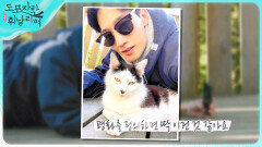 고양이가 안내한 새로운 공간 ?! 휘게 단짝 지현우 & 노상현의 평화로운 순간 , MBC 220911 방송