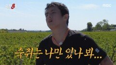 다들 왜 이리 멀쩡해..? 츠키 의식하며 뛰는 기안84, MBC 251228 방송