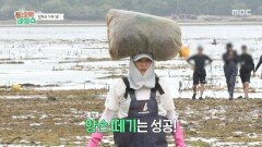 수지X아영의 도전 해초 포대를 머리에 이고 나르기, MBC 251126 방송