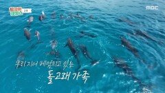 드디어 만난 돌고래 보려고 입수했는데… 이미 사라졌다?🥲, MBC 251210 방송
