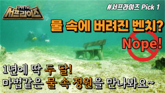 호수 속 신비의 세계! 마법의 호수, 그린 레이크’, MBC 220612 방송