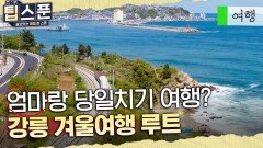 '당일치기'로 떠나기 좋은 강릉 여행 루트 한번에 정리｜[팁스푼 : 여행] MBC190412방송