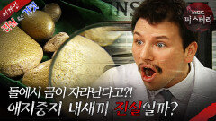 [어게인 진실 혹은 거짓] 어느 사형수의 이야기 VS 인생은 아름다워 MBC071111방송
