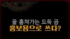 까다로운 곰들에게 선택받은 꿀? #서프라이즈