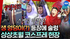 [극한84] 프리허그 대신 프리 엉덩이 kiss..(?) 프랑스 마라톤의 진풍경을 본 극한 크루들의 반응ㅋㅋ | #기안84 #권화운 MBC251221방송