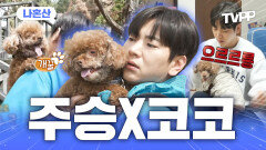 《TVPP》 가깝지만 먼 둘 사이 주승X코코 친해지길 바라 | 나혼자산다 | TVPP | MBC 250124 방송