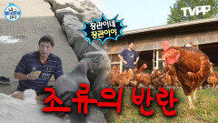 《TVPP》 ️방심하면 큰코다침️ 인류 VS 조류 숨막히는 기싸움(?) | 나혼자산다 | TVPP | MBC 190208 방송