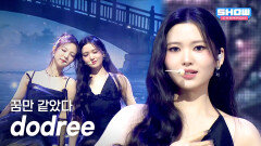 [HOT DEBUT] dodree (도드리) - 꿈만 같았다 l Show Champion l EP.584 l 260128