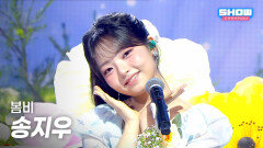 [HOT DEBUT] 송지우 (Song ziu) - 봄비 l Show Champion l EP.589 l 260318
