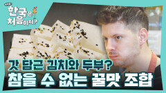 갓 담근 김치는 무조건 먹어야지 꿀맛 조합 두부 + 김치 먹방