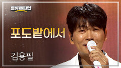 [팬ON스타] 김용필 - 포도밭에서 l 트롯챔피언 l EP.76