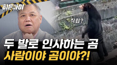 동물원 안, 두 발로 우뚝 선 채 인사하는 곰이 있다?! 진실 혹은 거짓!